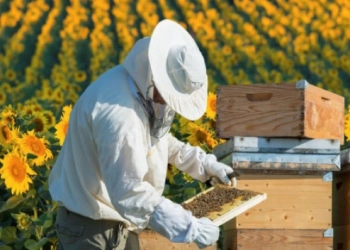На Тернопільщині під час відкачування меду помер пенсіонер
