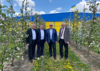 У господарстві Петра Гадза уже збирають перший врожай яблук, – частину передають на ЗСУ