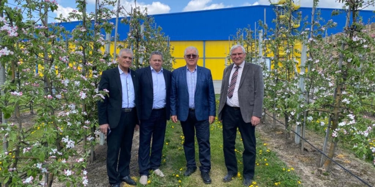 У господарстві Петра Гадза уже збирають перший врожай яблук, – частину передають на ЗСУ