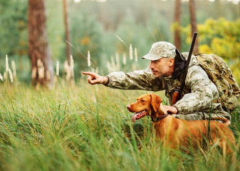 Відкриття сезону полювання на Тернопільщині не відбудеться