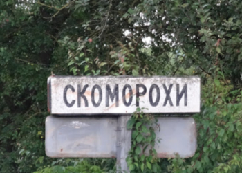 У Великогаївській ОТГ, на Тернопільщині у ставку місцеві виявили тіло, – загинула 81 річна жінка