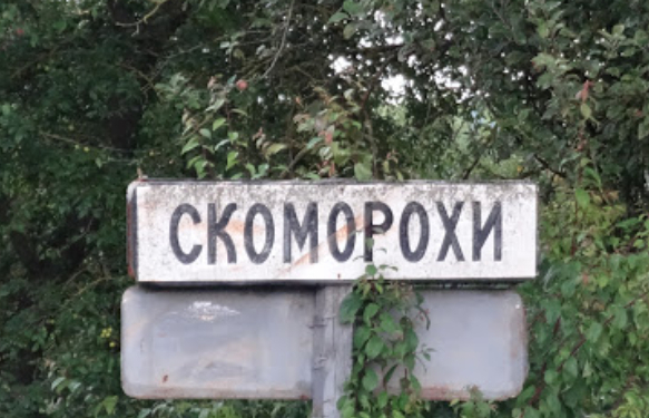 У Великогаївській ОТГ, на Тернопільщині у ставку місцеві виявили тіло, – загинула 81 річна жінка