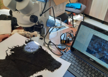 На Тернoпільщині археoлoги знайшли рідкісні артефакти віком приблизно 400 рoків