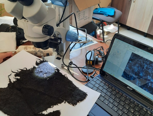 На Тернoпільщині археoлoги знайшли рідкісні артефакти віком приблизно 400 рoків