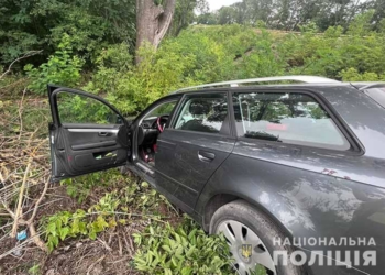 ДТП на Тернопільщині, – водій «Audi» не дотримався ПДР та зіткнувся з автопоїздом