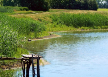 Трагічний випадок трапився на Тернопільщині, – в ставку села Вибудів Козівської громади виявили тіло чоловіка