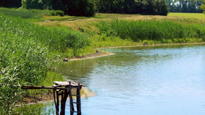 Трагічний випадок трапився на Тернопільщині, – в ставку села Вибудів Козівської громади виявили тіло чоловіка