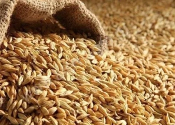 У селищі Великі Бірки злодій-рецидивіст поцупив у жінки 20 мішків ячменю