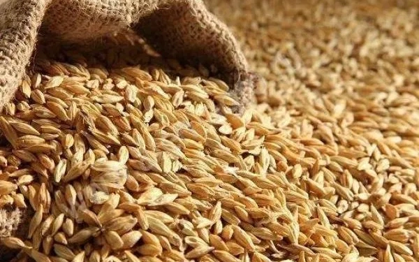 У селищі Великі Бірки злодій-рецидивіст поцупив у жінки 20 мішків ячменю