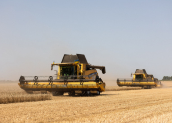 Україна буде з хлібом і перемогою: жнива в «Контінентал Фармерз Груп» тривають