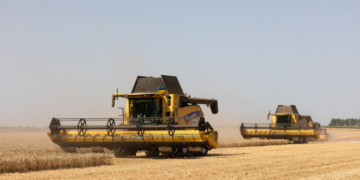 Україна буде з хлібом і перемогою: жнива в «Контінентал Фармерз Груп» тривають