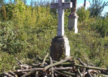 У Бучачі влада нищить цвинтар і вирубує на ньому дерева на сотні тисяч гривень