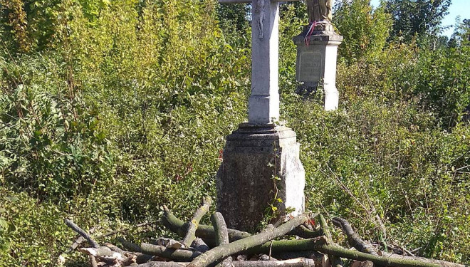 У Бучачі влада нищить цвинтар і вирубує на ньому дерева на сотні тисяч гривень