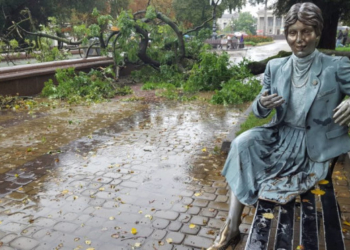 У Тернополі на бульварі Шевченка впало дерево: на щастя постраждалих немає