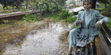 У Тернополі на бульварі Шевченка впало дерево: на щастя постраждалих немає