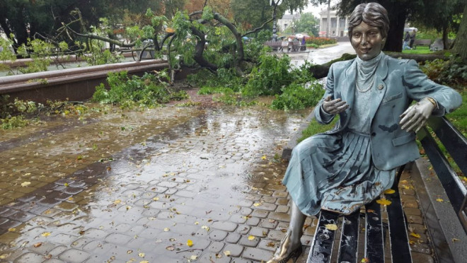 У Тернополі на бульварі Шевченка впало дерево: на щастя постраждалих немає