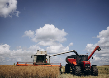 У «Контінентал» завершилася перша хвиля жнив та триває посів озимих  під урожай-2023