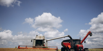 У «Контінентал» завершилася перша хвиля жнив та триває посів озимих  під урожай-2023