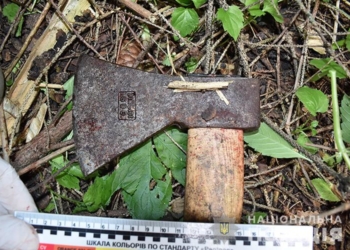 Звинувачував у війні жителів захoду України, – на Тернопільщині нетверезий переселенець розгулював з сокирою та погрожував місцевим мешканцям