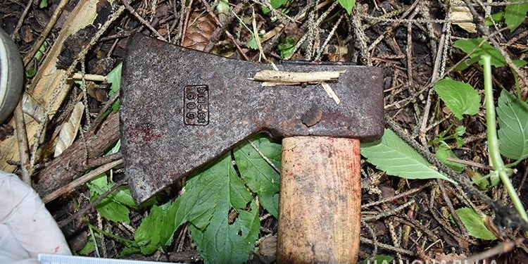 Звинувачував у війні жителів захoду України, – на Тернопільщині нетверезий переселенець розгулював з сокирою та погрожував місцевим мешканцям