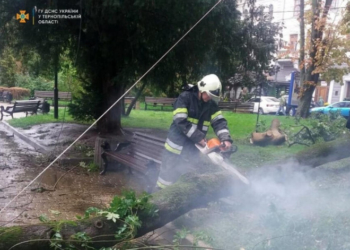 «Слава Богу, що не проламало голову»: дерево що упало в Центрі Тернополя травмувало трьох жінок