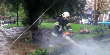 «Слава Богу, що не проламало голову»: дерево що упало в Центрі Тернополя травмувало трьох жінок