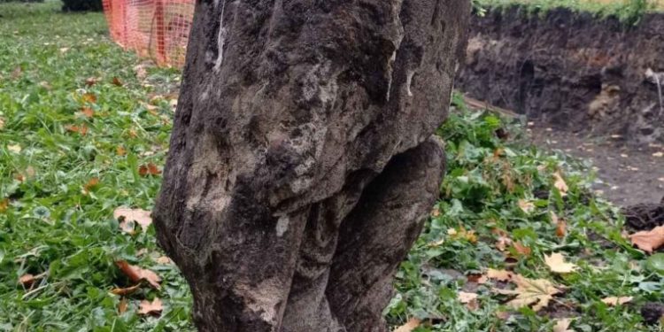 У центрі Тернополя знайшли частину стародавнього пам’ятника