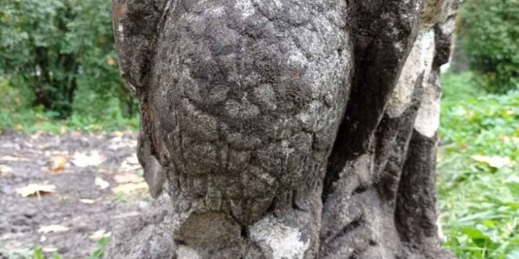 У центрі Тернополя знайшли частину стародавнього пам’ятника