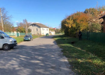 На Теребовлянщині водій мікроавтобуса збив 42-річну жінку