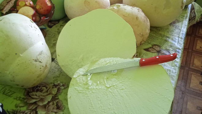 Гігантський гриб а на смак, як курка: на Тернопільщині продають унікальну знахідку