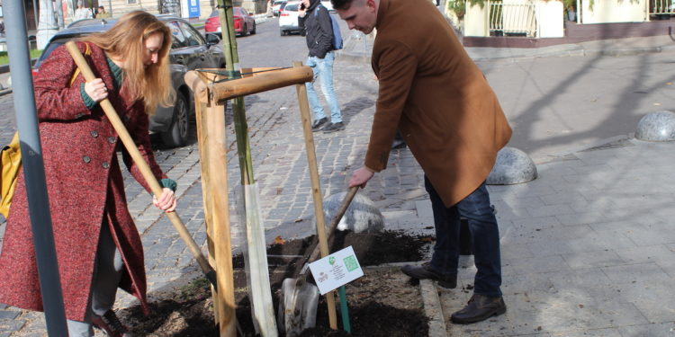 Тернопільська компанія Опілля долучилась до висадки дерев на проспекті Свободи у Львові