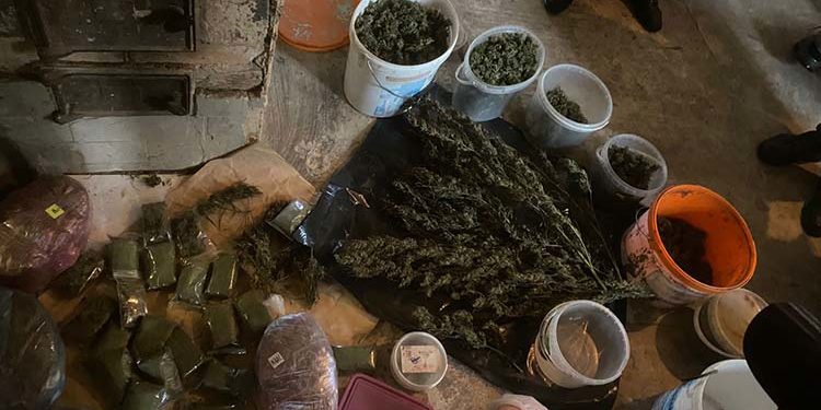 10 кілограмів канабісу виявили вдома у жителя Тернопільщини правоохоронці