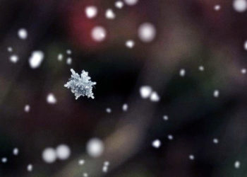 На Тернопільщині – перший сніг!