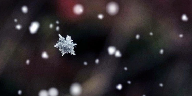 На Тернопільщині – перший сніг!