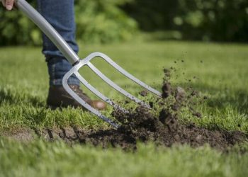 На Тернопільщині чоловік вдарив сусіда вилами у шию
