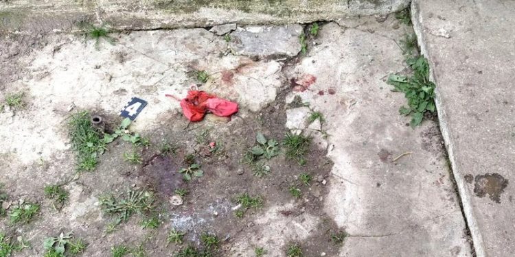 В сусідній з Тернопільщиною області домашня вівчарка загризла немовля