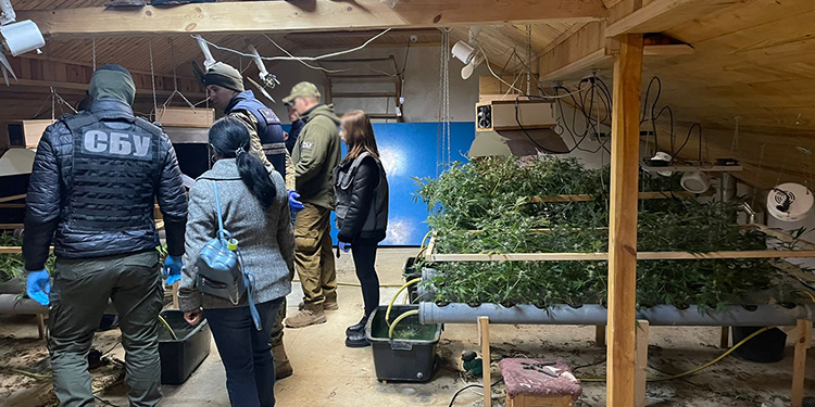 Поліцейські Тернопільщини викрили підпільну лабораторію з вирощування конопель