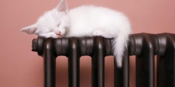 Що робити Тернопільським власникам квартир з індивідуальним опаленням які залишилися без тепла