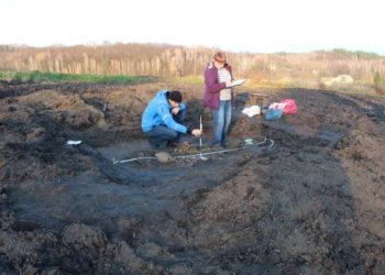 У Шумській громаді на Тернопільщині знайшли поховання скіфського періоду