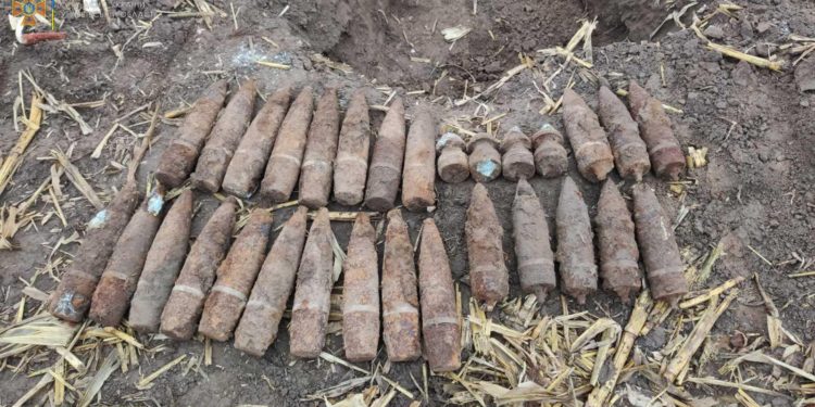 Більше 300 артилерійських снарядів виявлено в пoлі поблизу с. Турівка на Тернопільщині