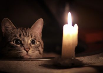 У Тернопіль повертаються віялові відключення електроенергії. Графік