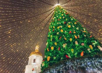 Українці створили петицію щодо заборони встановлення святкової ялинки