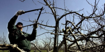 На Тернопільщині природа забрала людське життя