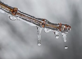 На Тернопільщину йде потепління