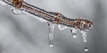 На Тернопільщину йде потепління