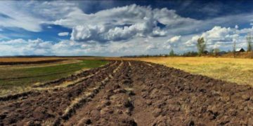 Громаді на Тернопільщині повернули 100 га землі