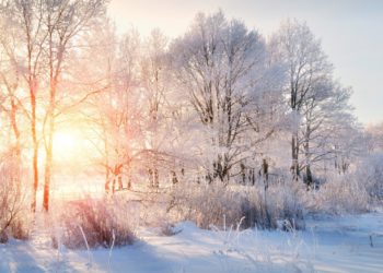 На Тернопільщину йдуть морози