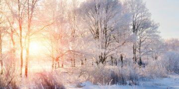 На Тернопільщину йдуть морози