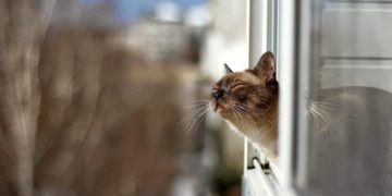 Тернополян приємно здивує новорічна погода