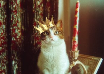 У Тернополі затвердили новий графік вимкнень електроенергії